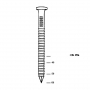 Coils d’ancrage MAX 41 – de 35 à 60 mm