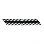 /clous-pour-cloueuse-pneumatique/scrail-34-pour-invisiddeck-p-4005068.1-600x600.jpg