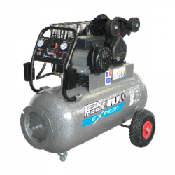 Compresseur professionnel standard - 100L Monophasé