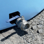 /cuve-aerienne/cuve-stockage-d-eau-de-pluie-12500-litres-premium-p-4005888.2-600x600.jpg