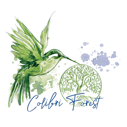 Notre partenariat avec Colibri Forest Notre partenariat avec Colibri Forest