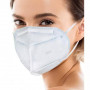 /masques-jetables-ffp1-ffp2-ffp3-/masque-ffp2-kn95-protection-optimale-format-leger-paclite-p-4005164.1-600x600.jpg