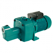 Pompe de surface 220 V